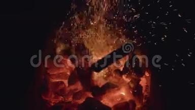 煤炭。 烧烤串里的木炭烧起来了。 火在燃烧。 去烧烤吧。 烧烤火。